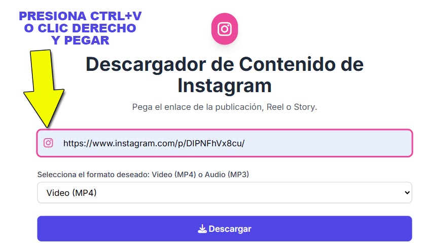 Pega el enlace en el descargador de instagram